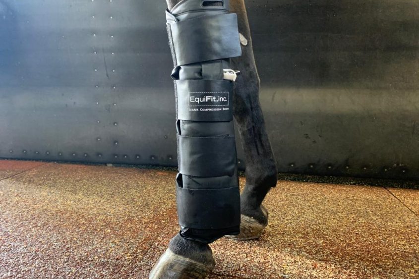 iceboots